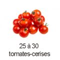 25 a 30 tomates cerises