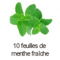 10 feuilles de menthe fraiche