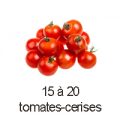 15 à 20 tomates cerises